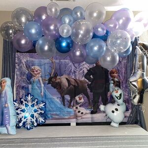 Frozen Elsa birthday party photo backdrop background